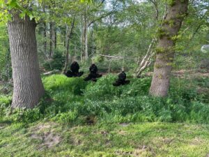 d12721b7-9590-422c-9a92-a224c8a4d6e3-033de521